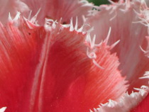 Preview - Click to zoom